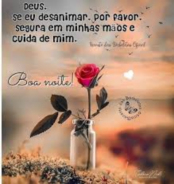 ANTONINO NOVAES
