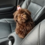 Ana Paula Zulow ganhador do prêmio 150,00