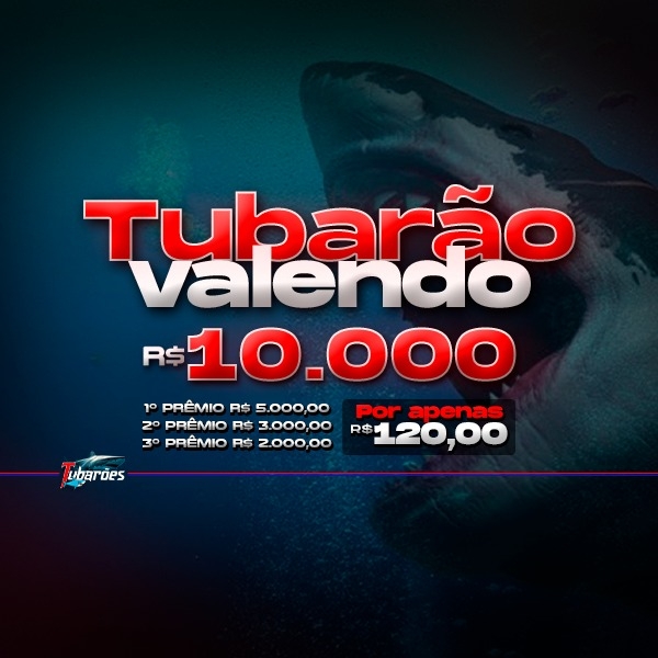 02º RAPIDINHA VALENDO R$ 10.000 EM 3 PREMIOS!!! VOL. 8