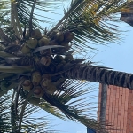 Zé Felipe ganhador do prêmio 600,00