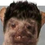 Pedro Henrique ganhador do prêmio 250