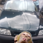 João Neto Silva ganhador do prêmio 500